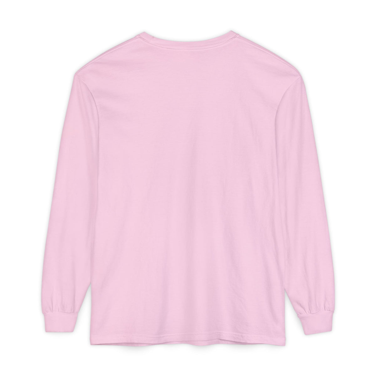 Curiosity Has Consequences Long Sleeve T-Shirt – Vintage Explorer | Explorer Collection